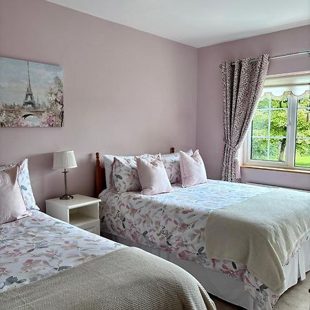 The Lodge Self Catering Castlerea Kültér fotó